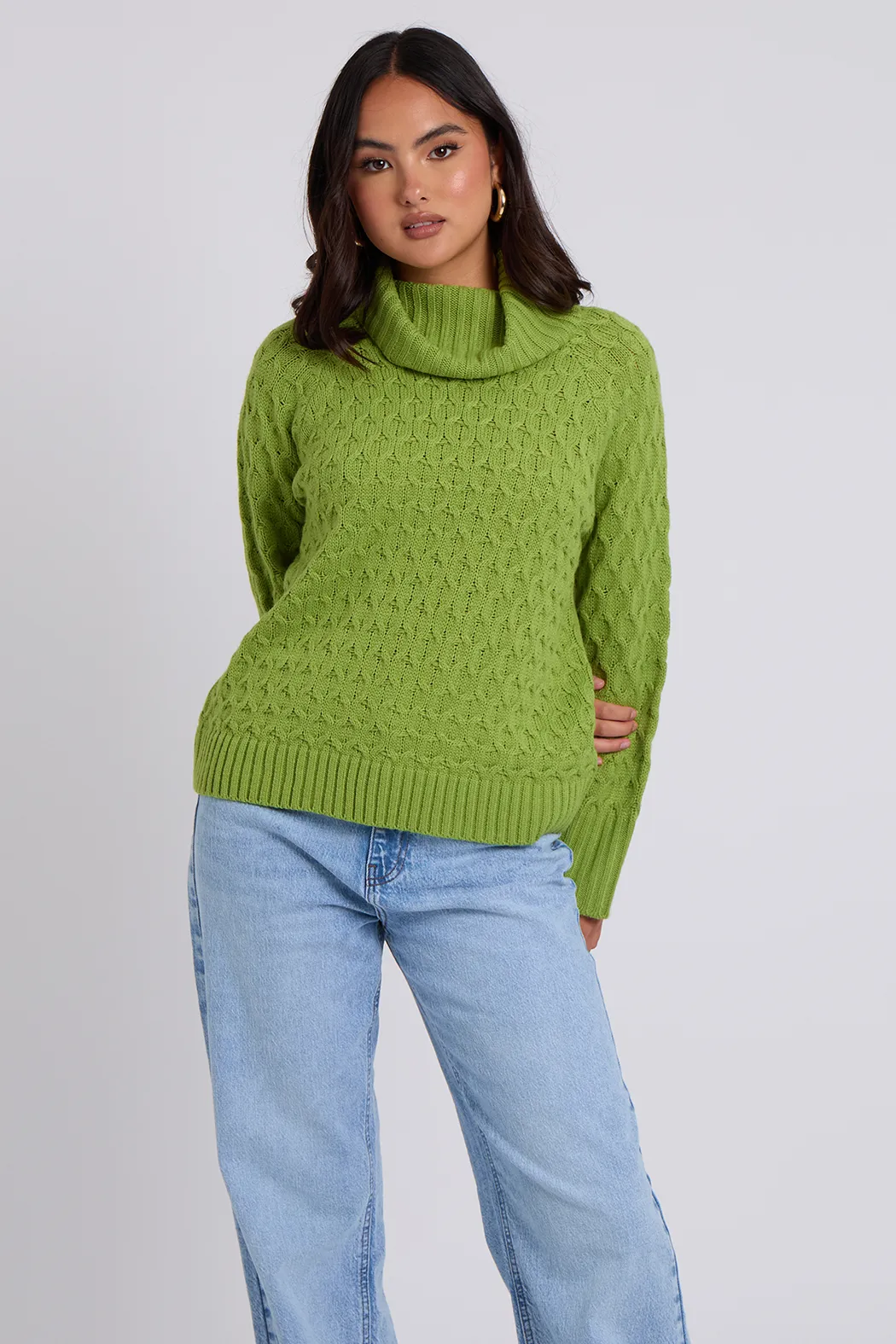 Honeycomb Cable Roll Neck Jumper 1 Honeycomb Cable Roll Neck Jumper