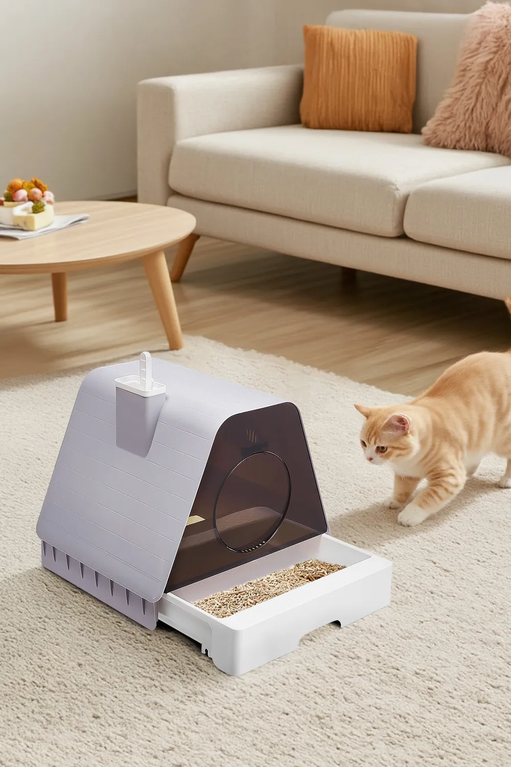 Large Enclosed Cat Litter Box
