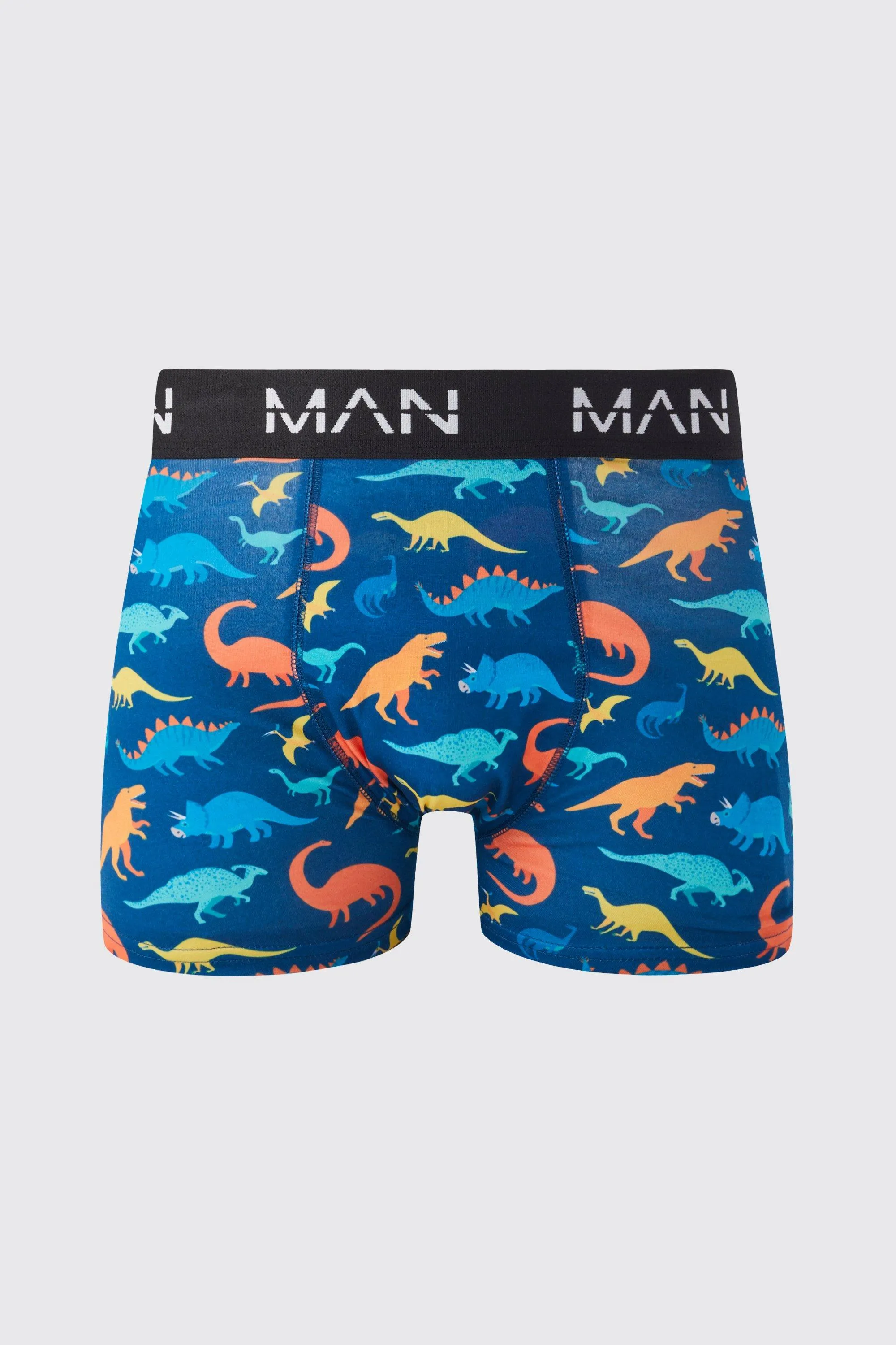 Dinosaur Print Boxers