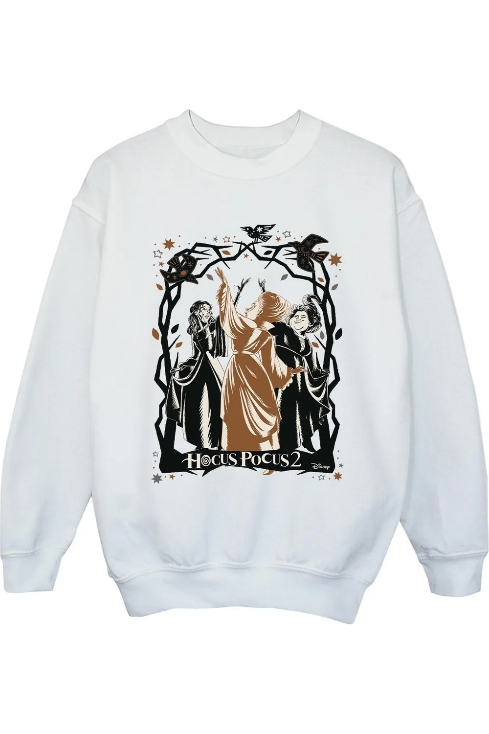 Hocus Pocus Birds Sweatshirt 2 Hocus Pocus Birds Sweatshirt