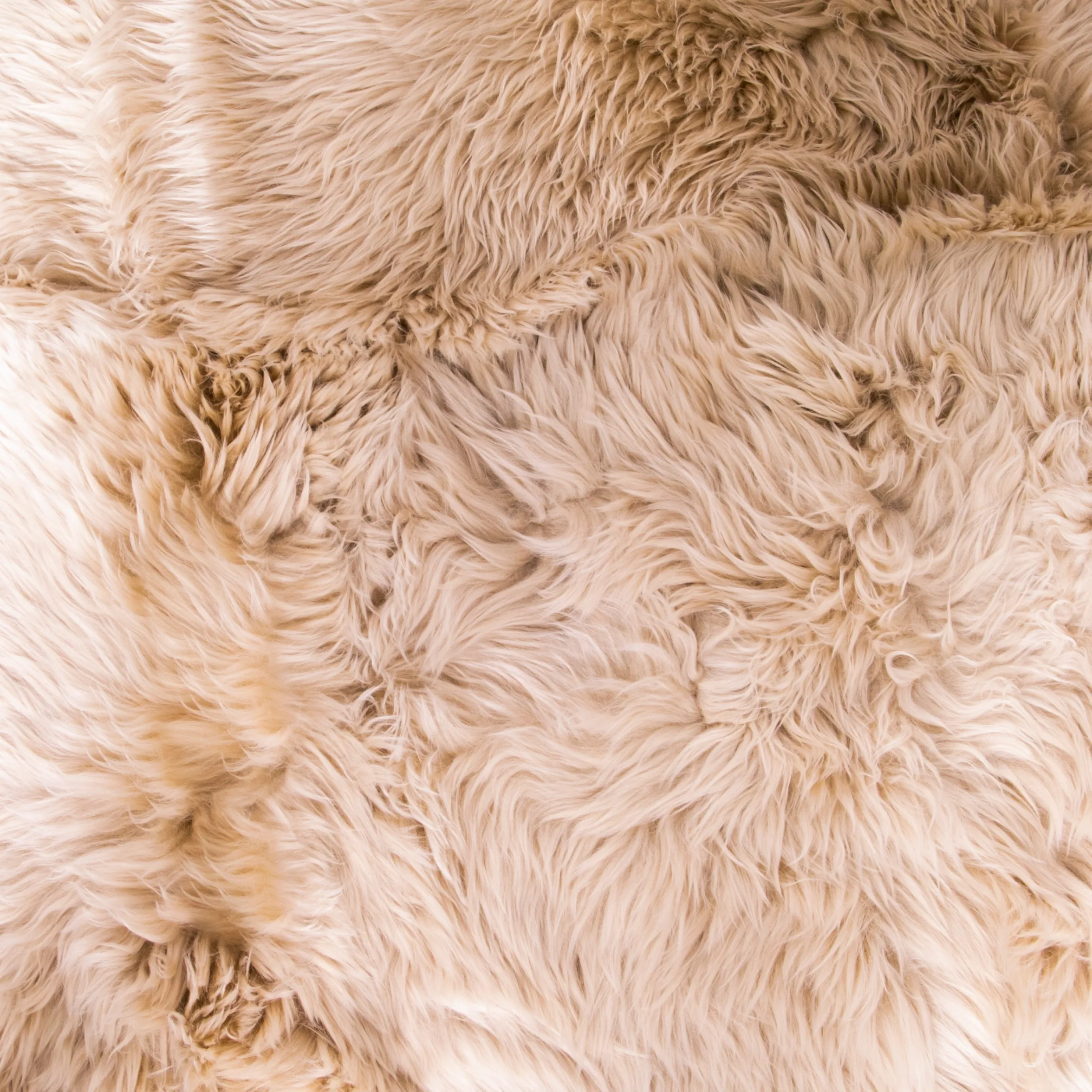 Quad Beige Sheepskin Rug 3 Quad Beige Sheepskin Rug