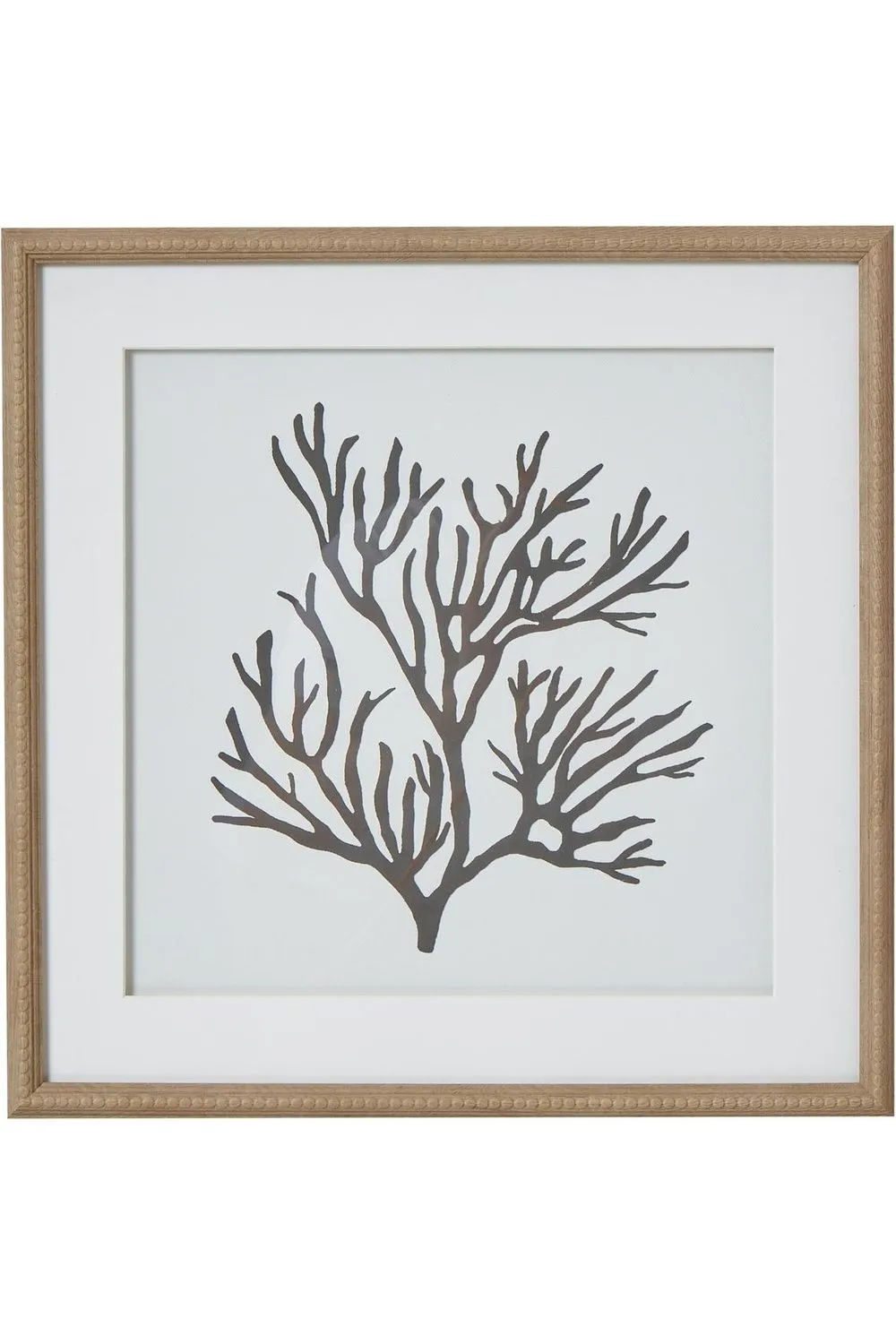 Reef Coral Framed Print